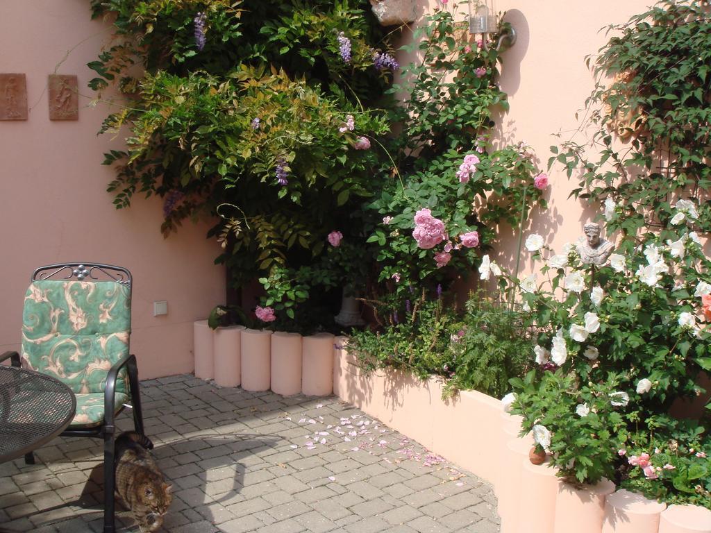 Haus Am Markt Königstein in der Oberpfalz エクステリア 写真
